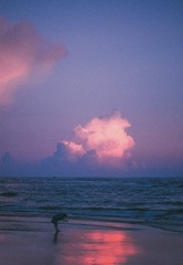 _82A0036