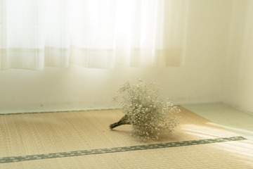 _ANG3811