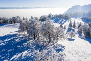 _ANG2671