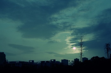 _ZWT2381