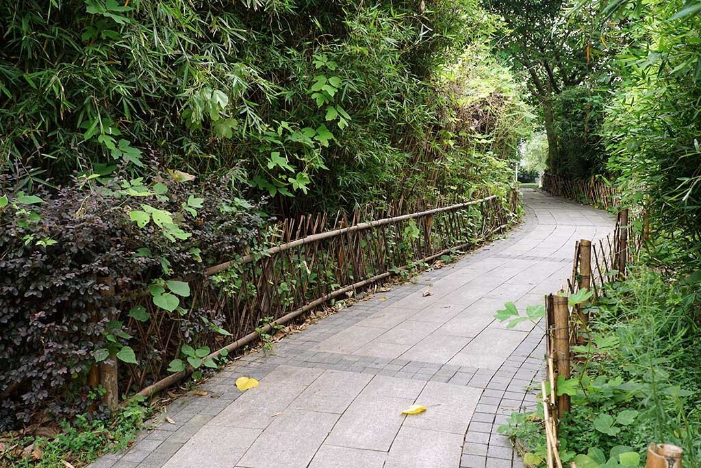 宁静的小路