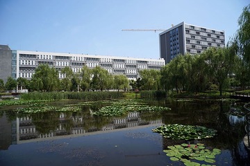 20150819-3