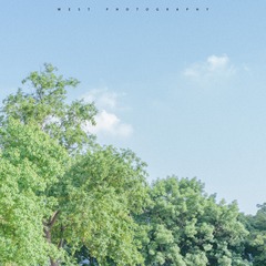 Mikami00017