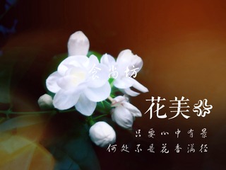 945804