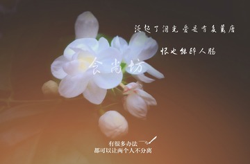 945806