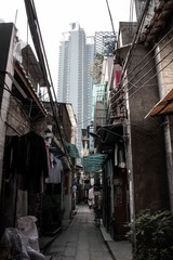 IMG_2603-2