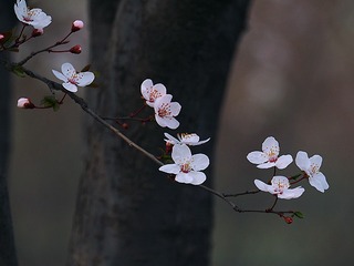 P3161303