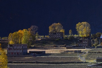 _DSC7906