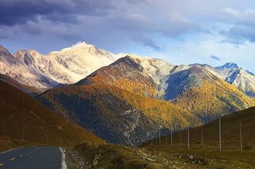 _DSC8040