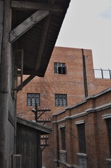 _IGP4363