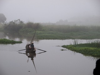 P5315373