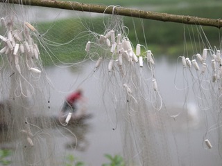 P5315433