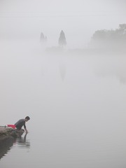 P5315446