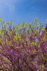 DSCN2069_