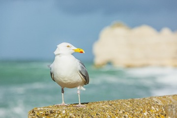 DSCN4493_