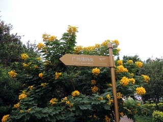 DSCN7816_