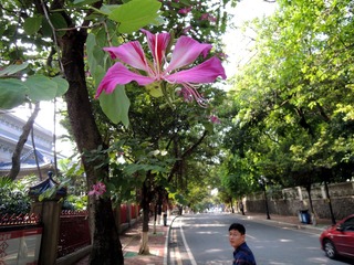 DSCN8040_