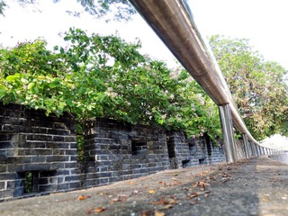 DSCN8094_
