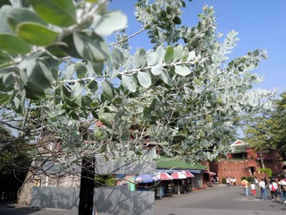 DSCN8098_