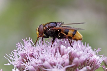 DSCN8901_
