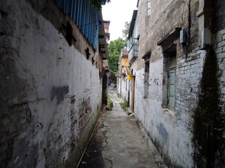 DSCN8993_