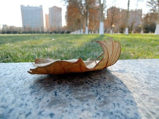 DSCN9128_