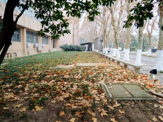 DSCN9473_