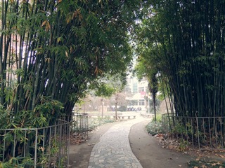 DSCN9479_