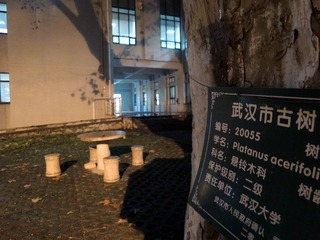 DSCN9585_