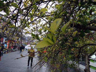 DSCN9397_