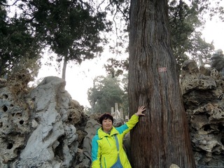 DSCN0035_