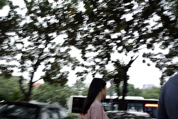 DSC_4355_