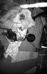 tmp_14910622af421c193fd05d5c6dce39ab