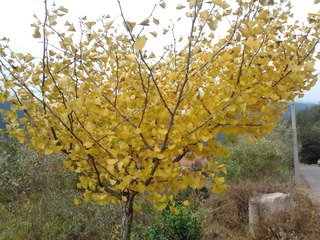 2013-11-02 10.12.12