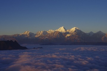 _IGP6831