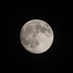 _DSC1333a