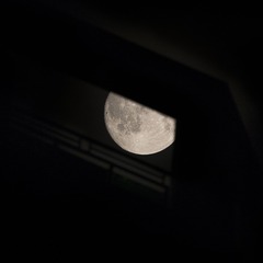 _DSC1346b
