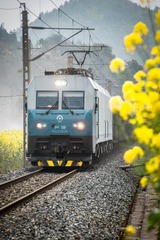 293685