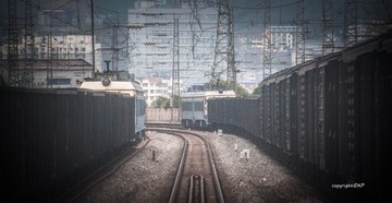 293684