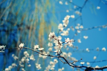 011