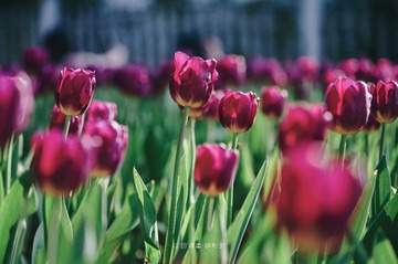 2F731F32-DDDD-4E29-A471-D51830E7423E/L0/001