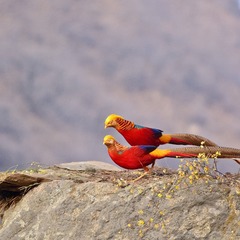 _DSC5283-1