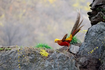 _DSC0456