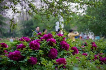 _DSC7172