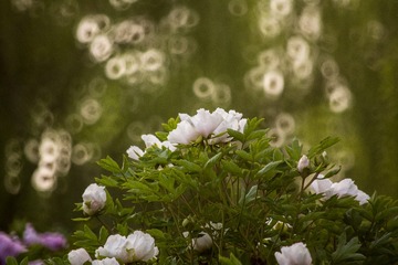 _DSC5669