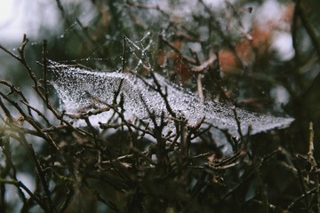 IMG_8944-1