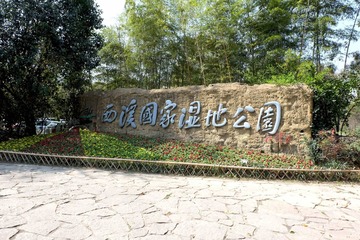 西溪 (2)