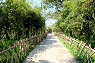 西溪 (3)