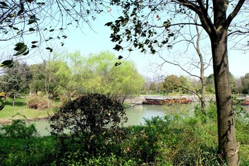 西溪 (6)