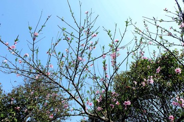 西溪 (10)